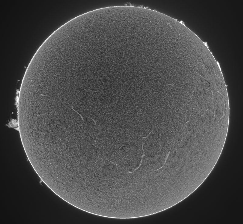 Fusion06-2026-09-17-0844_8-U-G-Sun_Halpha_ZWO ASI585MM_Gain=200_Exposure=5.0ms_Gamma=62_3_Surface_20_Sharp30_B16.0_C0.4_S1_N1_SUN_INV.png