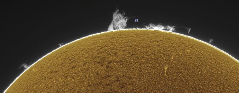 FUSION-CROP04 - 2026-09-17-0844_8-U-G-Sun_Halpha_ZWO ASI585MM_Gain=200_Exposure=5.0ms_Gamma=62_3_Surface_20_Sharp30_B16.0_C0.4_S1_N1_SUN_INV.png