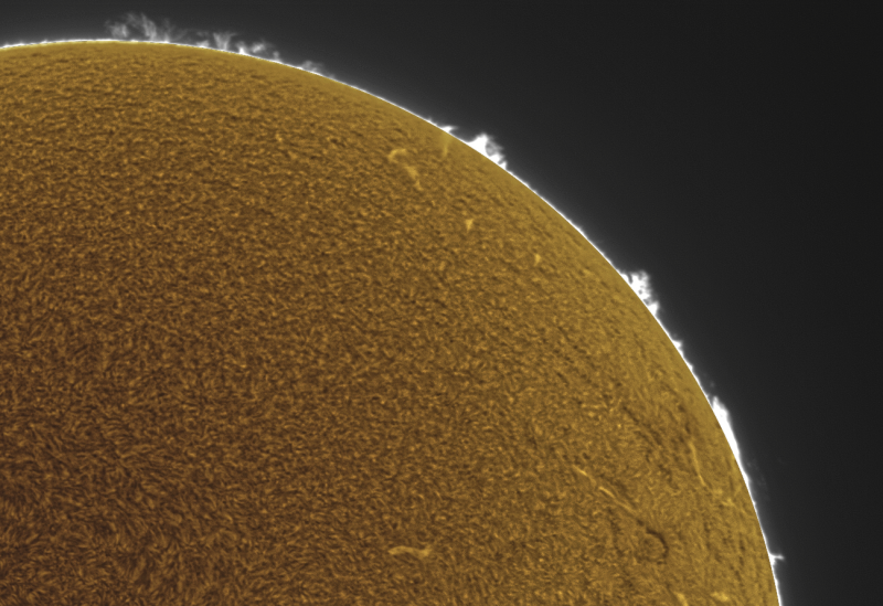FUSION-CROP05 - 2026-09-17-0844_8-U-G-Sun_Halpha_ZWO ASI585MM_Gain=200_Exposure=5.0ms_Gamma=62_3_Surface_20_Sharp30_B16.0_C0.4_S1_N1_SUN_INV.png