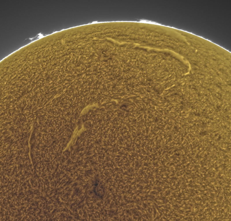 -FUSION003-2026-09-21-0809_6-U-G-Sun_Halpha_ZWO ASI585MM_Gain=211_Exposure=5.0ms_Gamma=50_1_Surface_26_Sharp43_B1.0_C0.4_S1_N1_SUN_INV.png