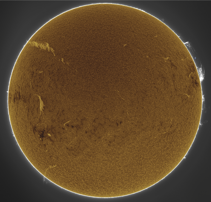 Fusion01-2026-10-12-0926_2-U-G-Sun_Halpha_ZWO ASI585MM_Gain=191_Exposure=5.1ms_Gamma=50_18_Surface_20_Sharp29_B24.0_C0.7_S1_N1_SUN_INV.png