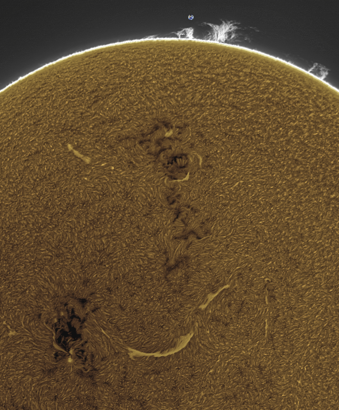 FUSION04-CROP-2026-10-15-1147_4-U-G-Sun_Halpha_ZWO ASI585MM_Gain=184_Exposure=5.1ms_Gamma=55_18_Surface_20_Sharp30_B19.0_C0.4_S1_N1_SUN_INV.png