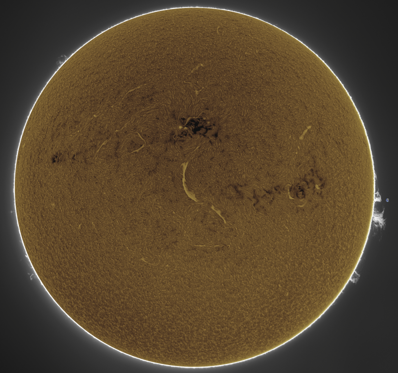 FUSION04-2026-10-15-1147_4-U-G-Sun_Halpha_ZWO ASI585MM_Gain=184_Exposure=5.1ms_Gamma=55_18_Surface_20_Sharp30_B19.0_C0.4_S1_N1_SUN_INV.png
