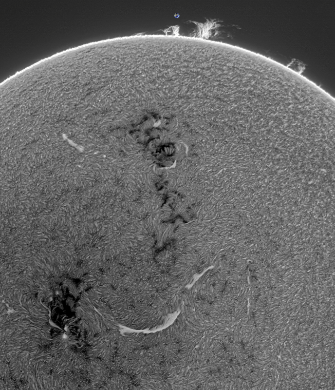 FUSION03-CROP-2026-10-15-1147_4-U-G-Sun_Halpha_ZWO ASI585MM_Gain=184_Exposure=5.1ms_Gamma=55_18_Surface_20_Sharp30_B1.0_C2.2_S1_N1_INV.png