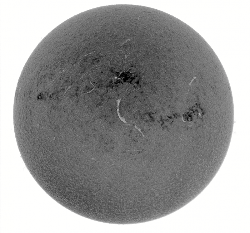 2026-10-15-1147_4-U-G-Sun_Halpha_ZWO ASI585MM_Gain=184_Exposure=5.1ms_Gamma=55_18_Surface_20_Sharp30_B1.0_C2.2_S1_N1_INV.png