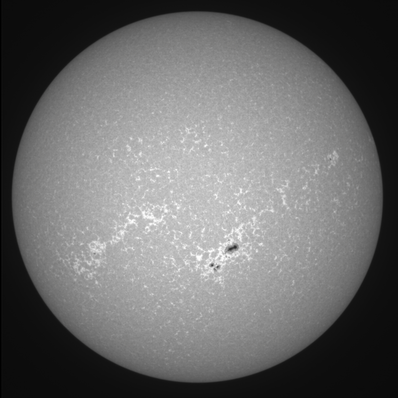Cak01-2026-10-15-0942_2-U-G-Sun_CaK_ZWO ASI183MM_Gain=36_Exposure=.1ms_Gamma=19(off)_2_Surface_20_Sharp20_B1.0_C1.1_S1_N1.png