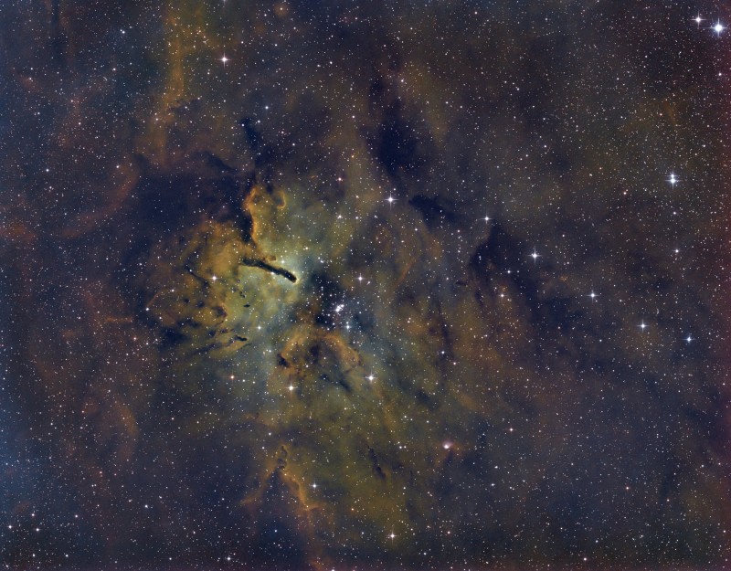 NGC6823-Fabiolat.jpg