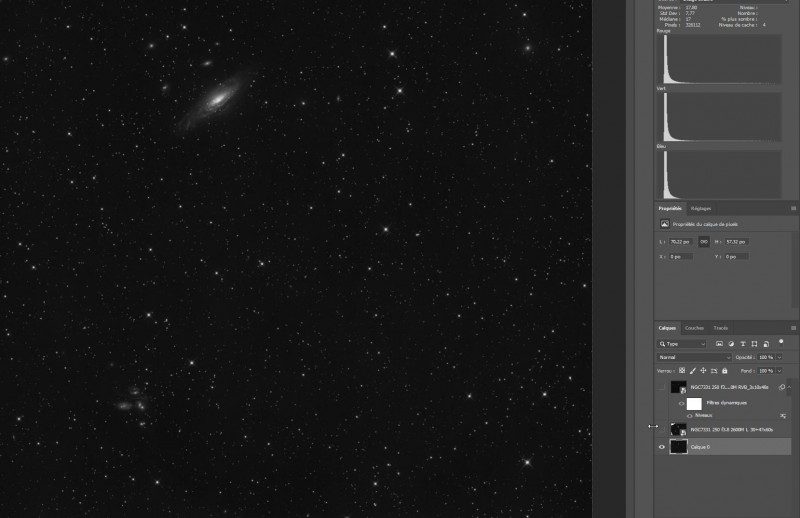 2026-10-20 22_45_25-NGC7331 250 f3.8 2600M L_30x60s.tif @ 29,4% (Calque 0, RVB_16) _.jpg