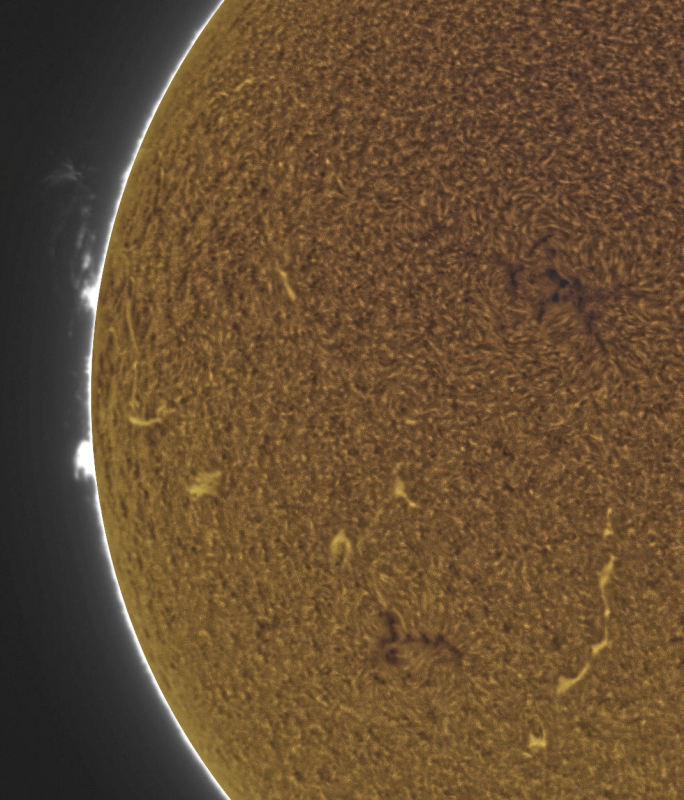 (3) 2026-10-28-0951_2-U-G-Sun_Halpha_ZWO ASI585MM_Gain=200_Exposure=5.5ms_Gamma=50_10_Surface_20_Sharp30_B17.0_C0.2_S1_N1_SUN_INV.png