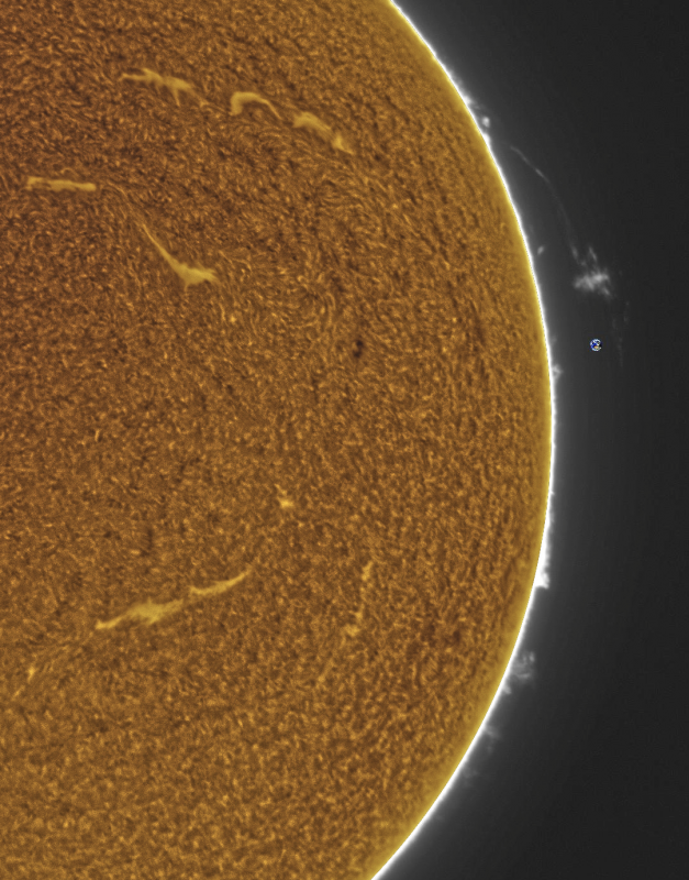 (2) 2026-10-28-0951_2-U-G-Sun_Halpha_ZWO ASI585MM_Gain=200_Exposure=5.5ms_Gamma=50_10_Surface_20_Sharp30_B17.0_C0.2_S1_N1_SUN_INV.png