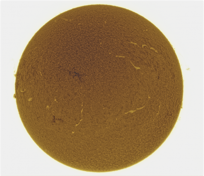 2026-10-28-0951_2-U-G-Sun_Halpha_ZWO ASI585MM_Gain=200_Exposure=5.5ms_Gamma=50_10_Surface_20_Sharp30_B17.0_C0.2_S1_N1_SUN_INV.png