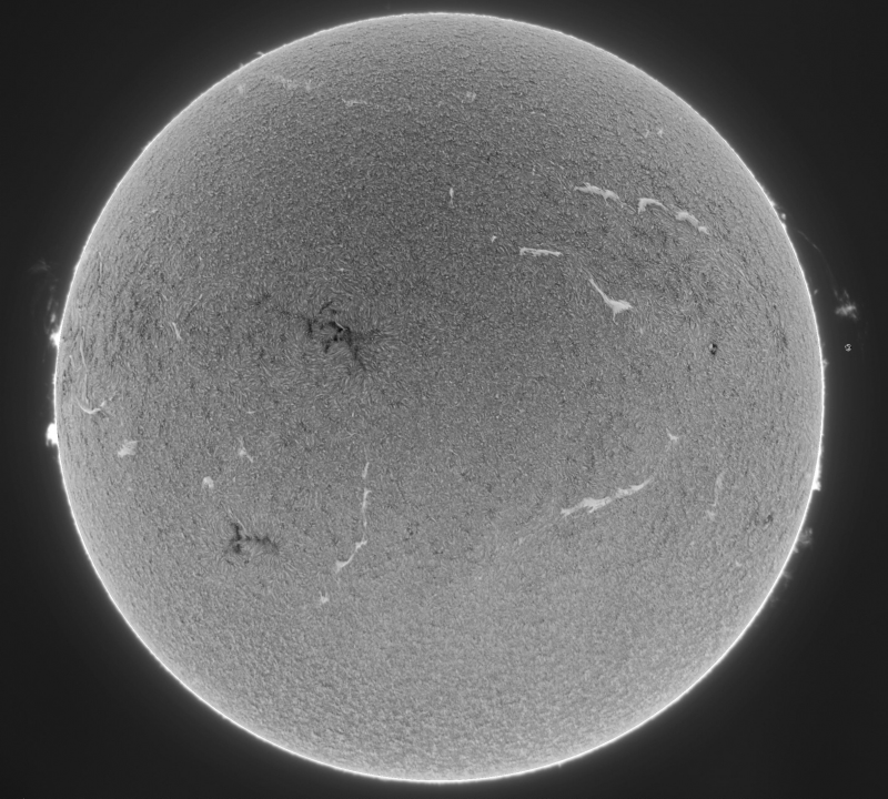 --- (3) 2026-10-28-1108_8-U-G-Sun_Halpha_ZWO ASI585MM_Gain=203_Exposure=4.5ms_Gamma=40_20_Surface_20_Sharp31_B0.0_C1.0_S1_N1_SUN_INV.png