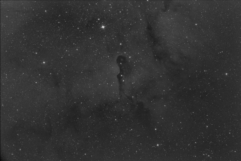 IC1396 Elephant 250 f3 2600M OIII_20x3m0s_3600s_WithDisplayStretch.jpg