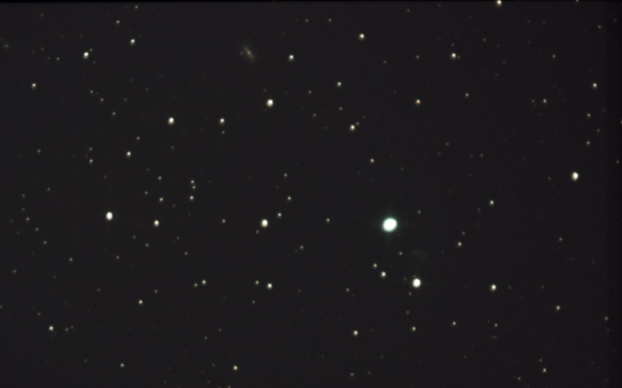 neb-oeil de chat.JPG