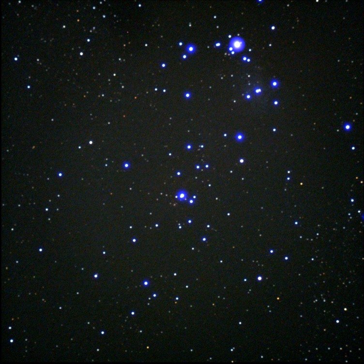 ngc2264.jpg
