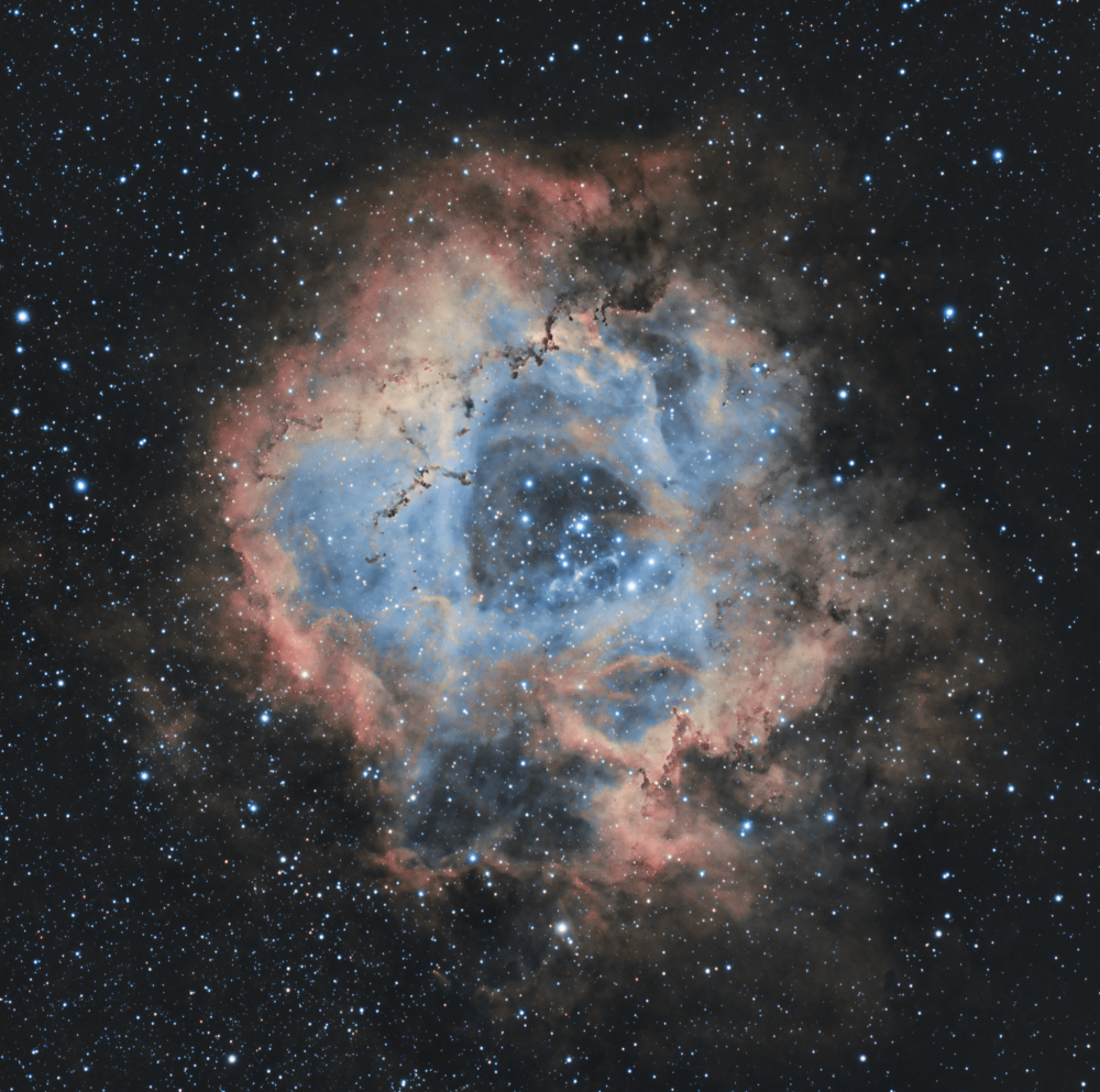 rosette hoo3.png