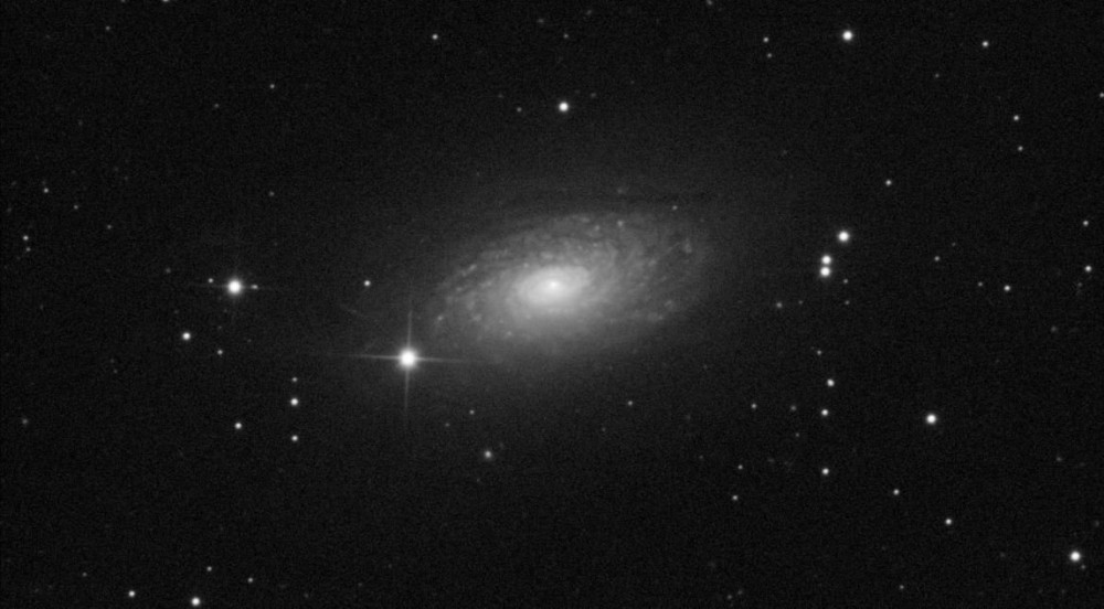 M63 - Tournesol 55 x 15.JPG