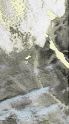 n19-1303-0645nil.jpg