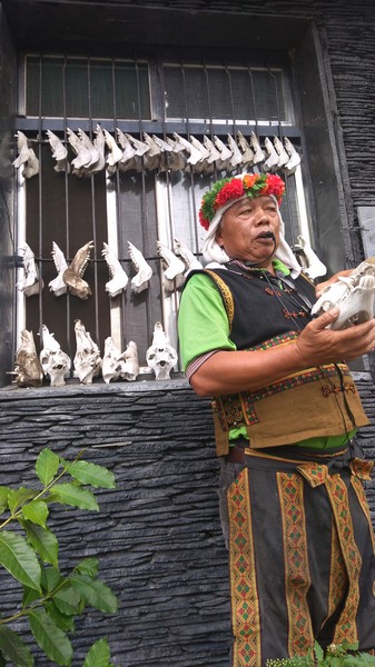 Mâchoires de sangliers accrochées aux fenêtres