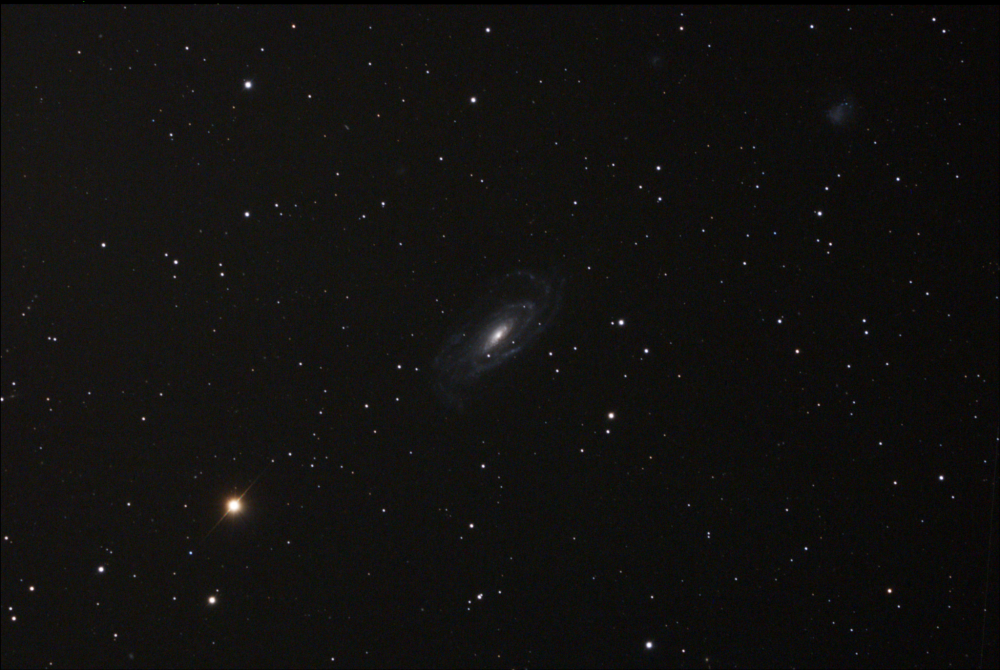 NGC 5033_2021-04-16_AA183CPROTEC(USB2.0)_21x_1260s_WithDisplayStretch.png