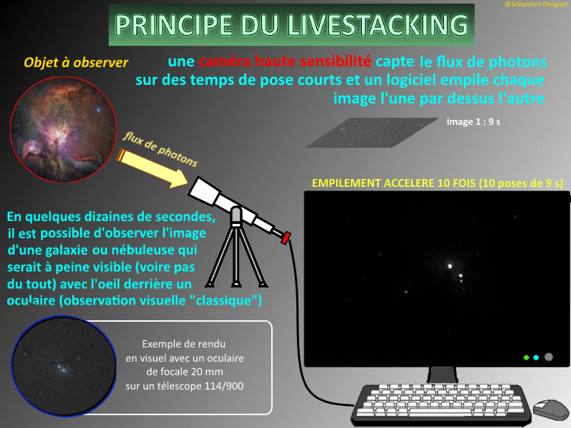 VA Principe livestack.gif