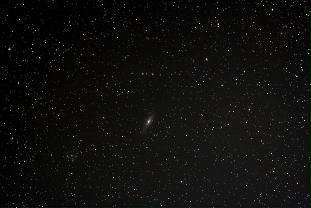 NGC 7331_2021-08-13_AA183CPROTEC(USB2.0)_20x_1200s_WithDisplayStretch.png