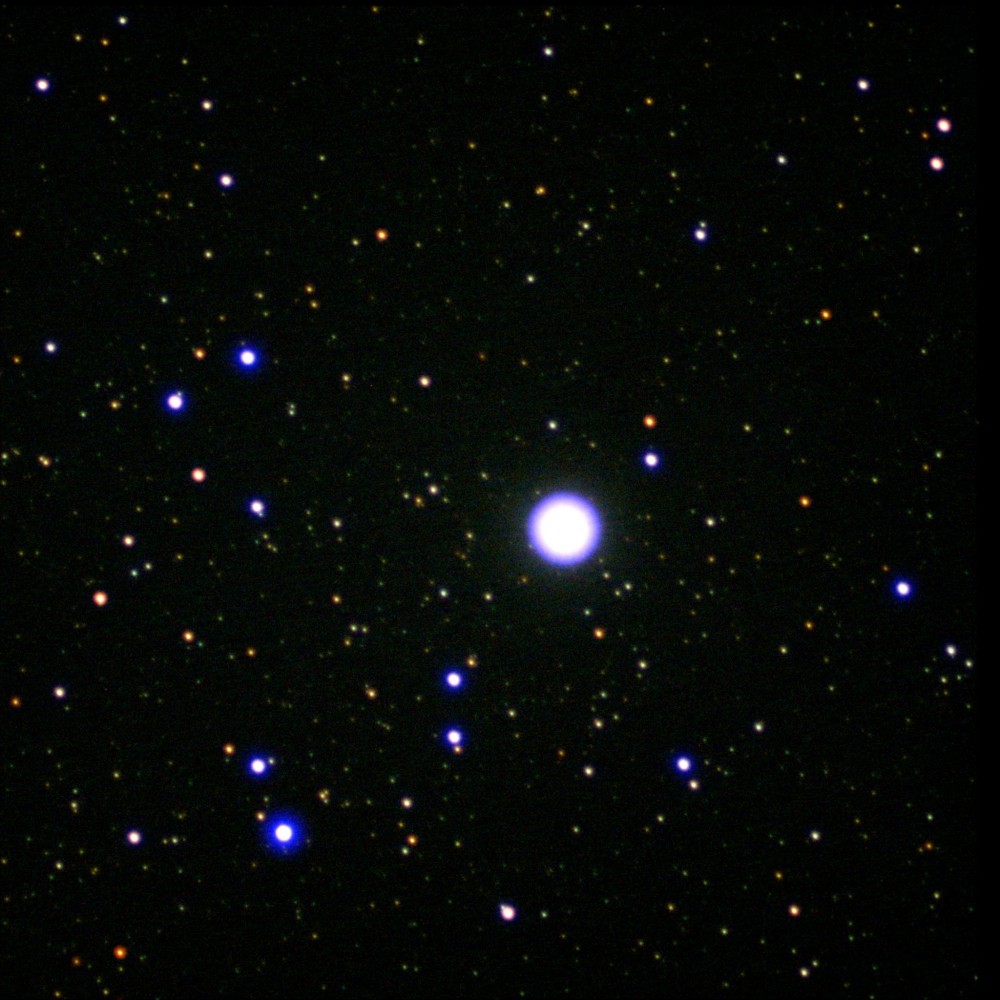 Alf-Per_37frames_185s.jpg