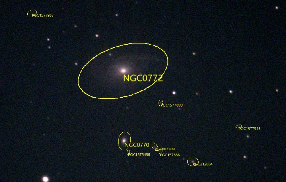 NGC772grp.jpg