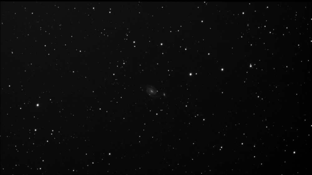 NGC 7753_2021-10-23_ALTAIR290M3(USB2.0)_163x_1630s_WithDisplayStretch.png