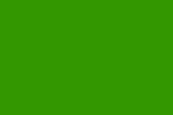 vert.jpg
