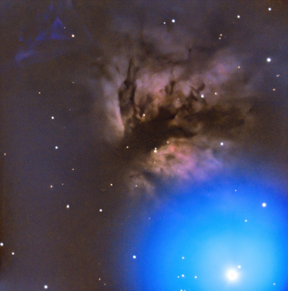 ngc2024.jpg