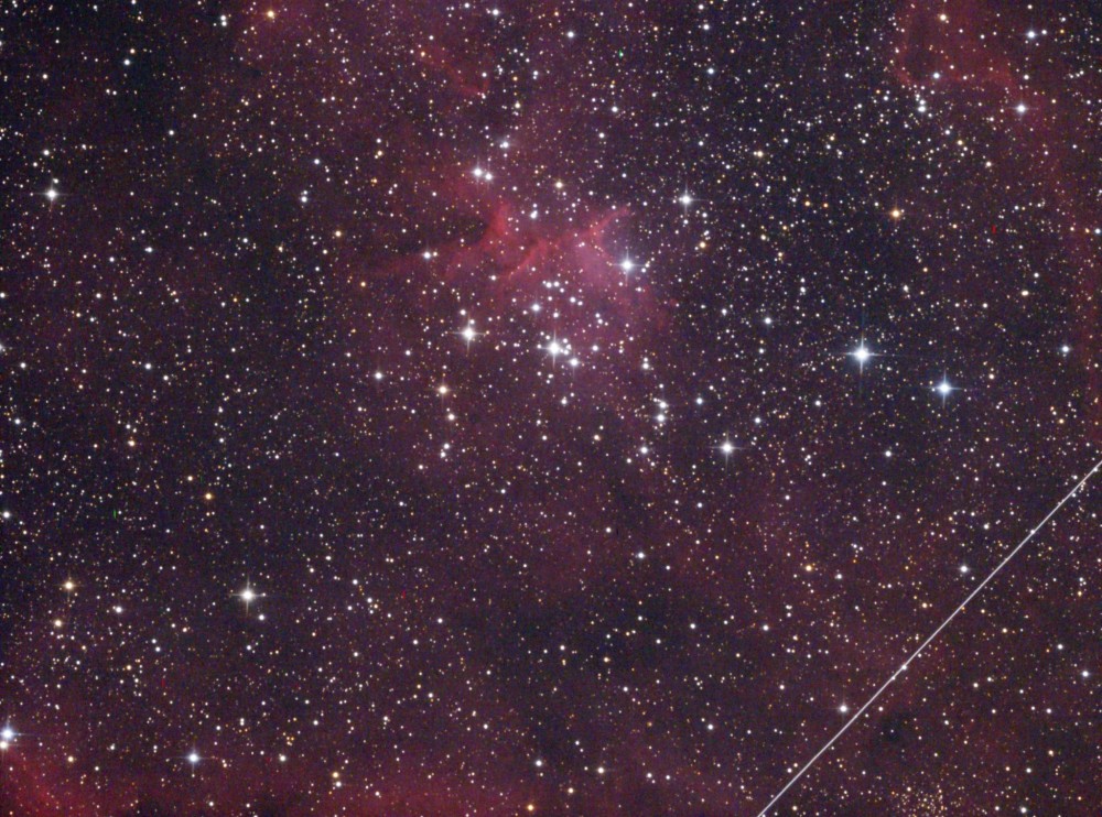 IC 1805 JPEG_2.jpg