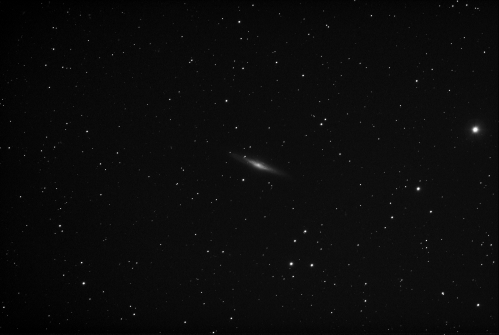 NGC 2683_2022-01-14_ZWO ASI178MM_135x_1350s_WithDisplayStretch.png