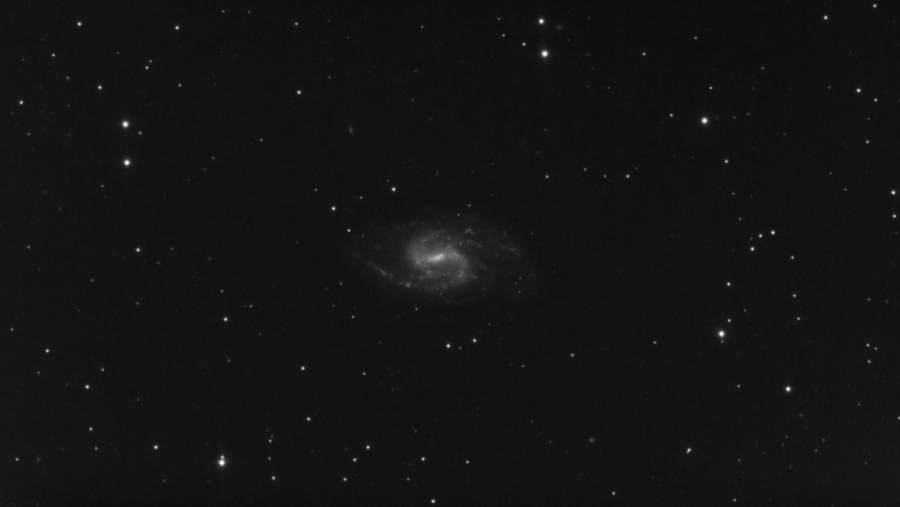 r_pp_NGC 3359 Uma_stacked copie.jpg