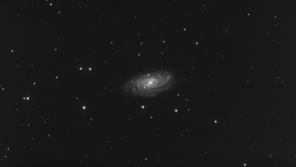 r_pp_NGC 3956 Uma_stacked copie.jpg