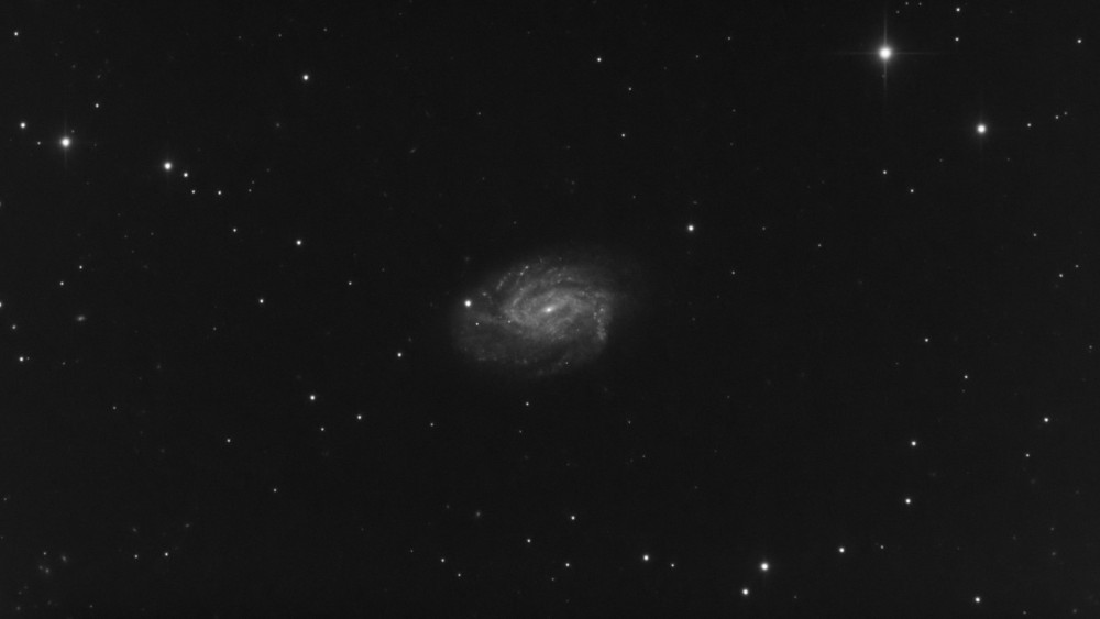 r_pp_NGC 3726 Uma_stacked copie.jpg
