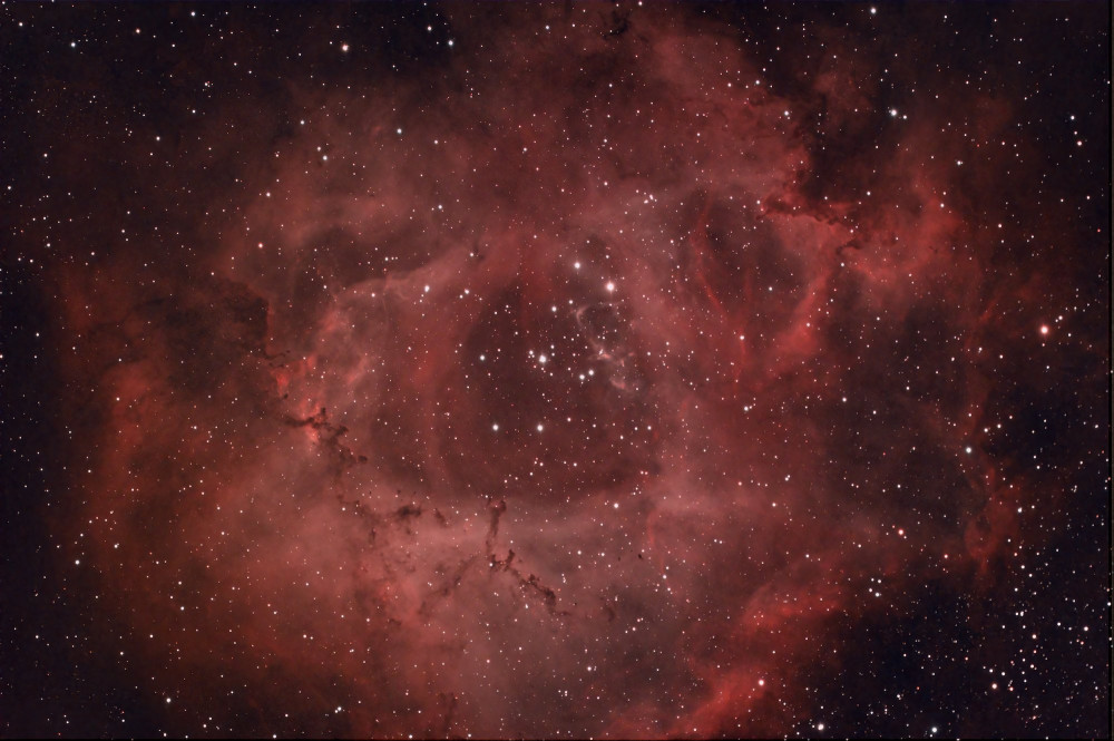 SH2-275 Rosette QHY183C NBZ 66mn-DeNoiseAI-low-light mini.jpg