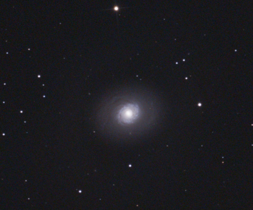 m94-crop.jpg