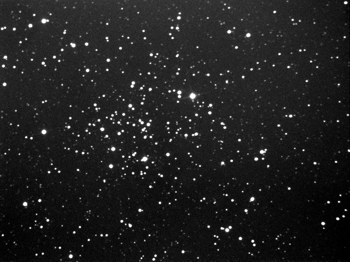 m50.jpg