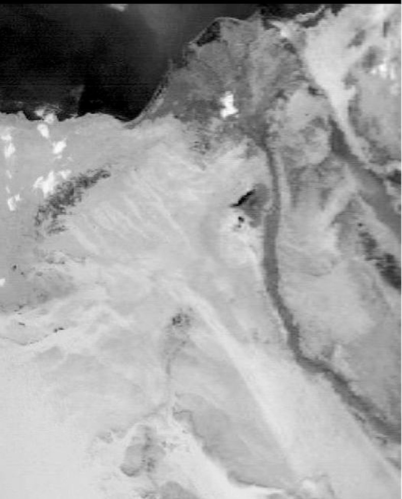 nil2022_07_30_66.jpg