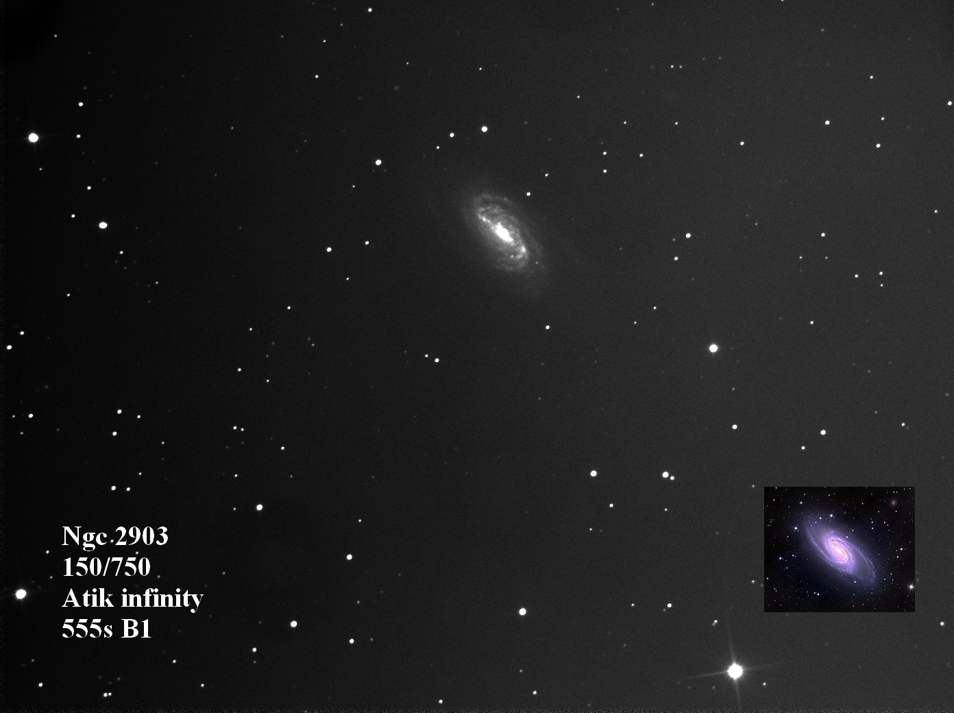 2903 150 555 b1 2.jpg