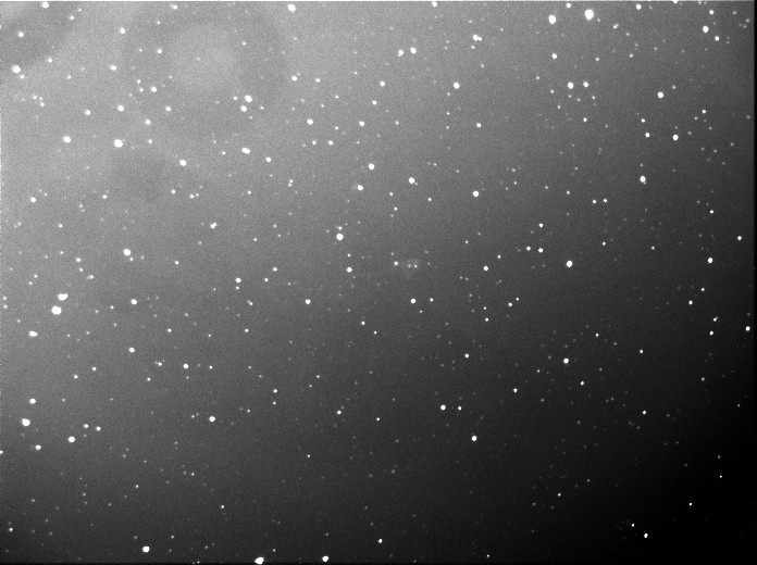 2444COMET CATCHEUR 20X20.jpg