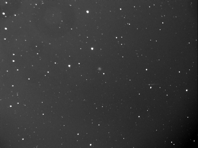 2537COMET CATCHEUR 14X20.jpg