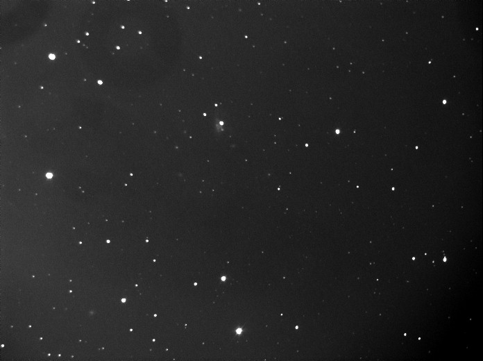 3239COMET CATCHEUR 30X20.jpg