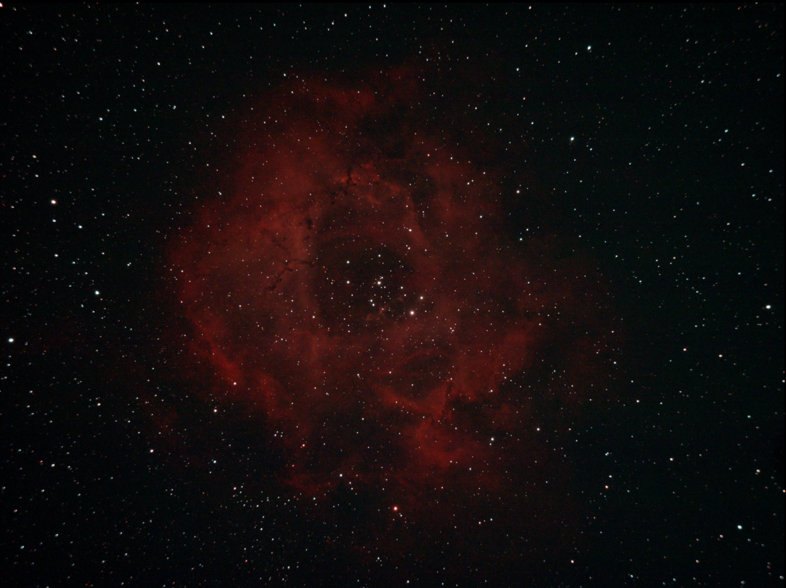C49_30x30s_L-enh_03-01-2023.png