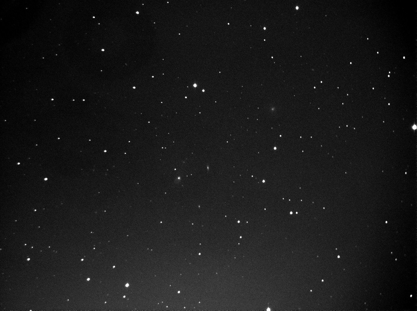 3916 COMET CATCHEUR 20X20.jpg