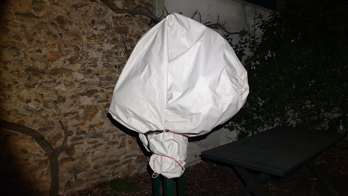 2023-01-20 21.13.18.jpg