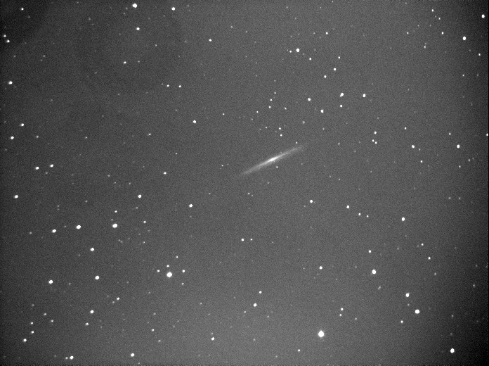 5907 COMET CATCHEUR 8X20B2.jpg