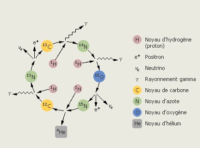 Cycle carbone azote oxygène.jpg