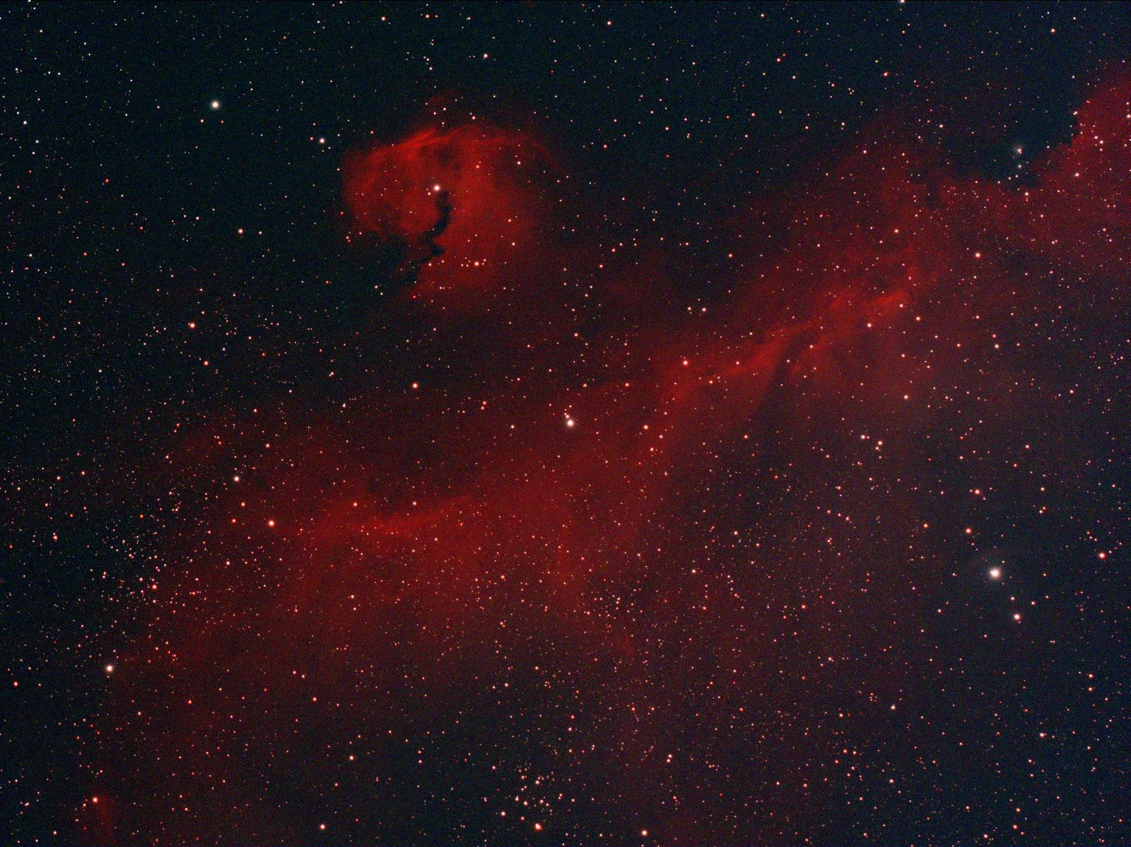 Mouette 130-269 NBZ_24x2880s_2880s_WithDisplayStretch (1600x1199).jpg